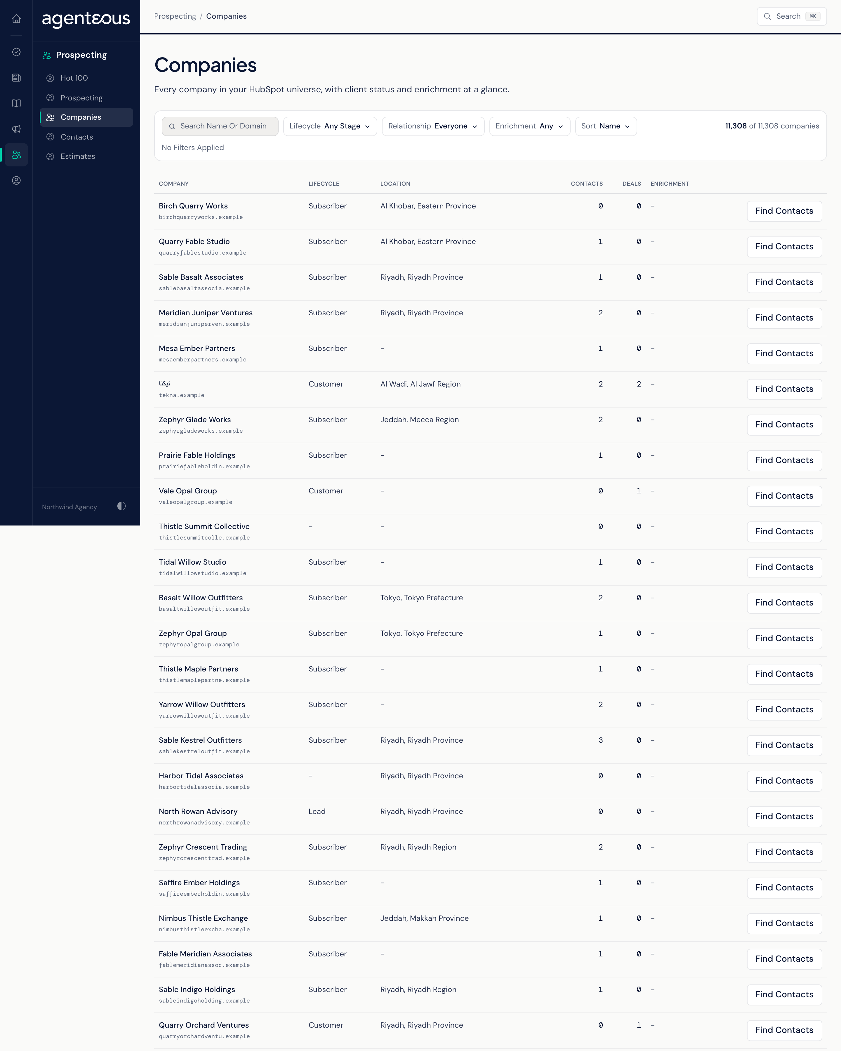 The Companies page: search and filter controls for lifecycle stage, relationship and enrichment above a paged list of companies from HubSpot.